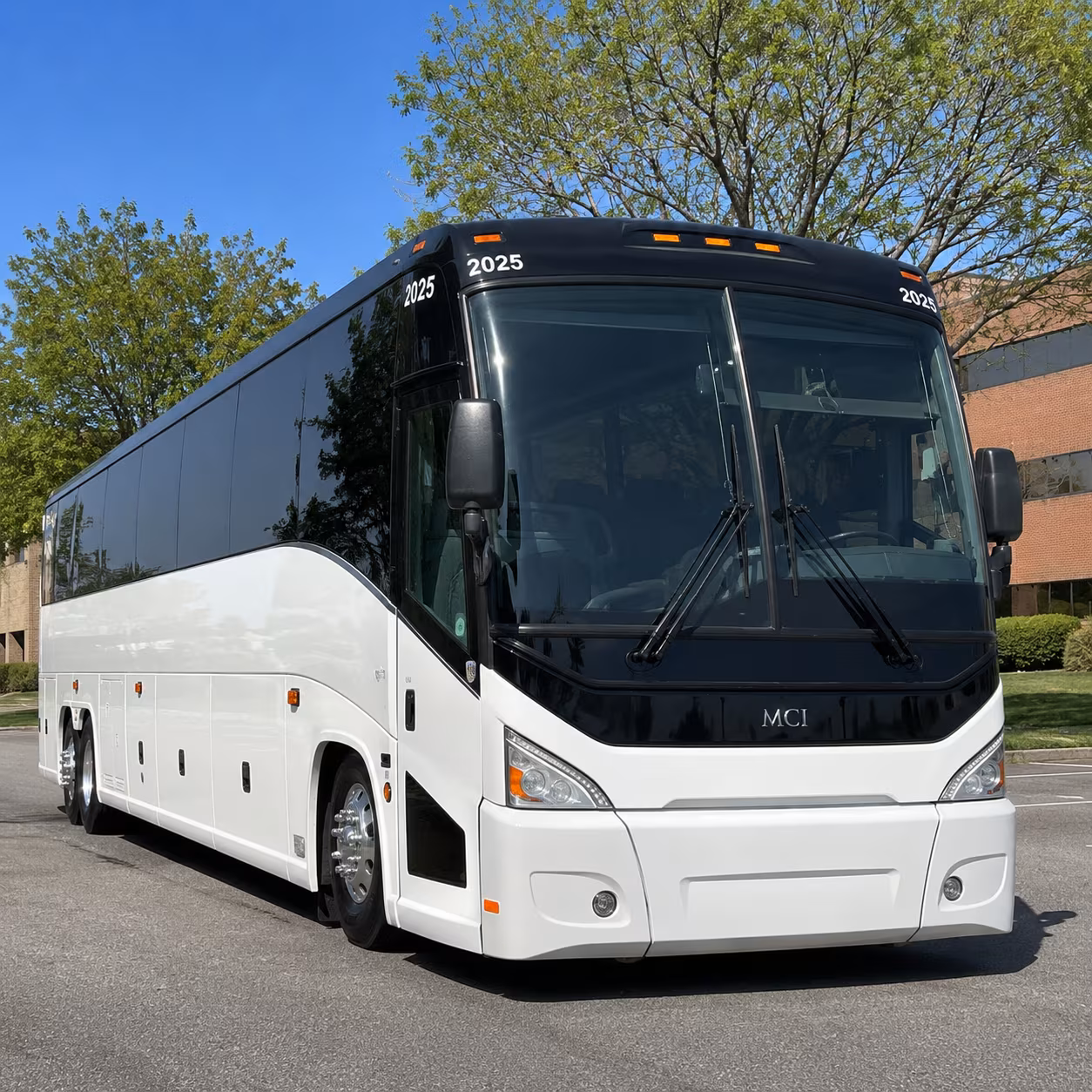 meow wolf museum hill and santa fe cultural venue transportation